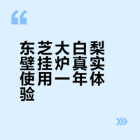 壁挂炉推荐：冬日的幸福感延续
