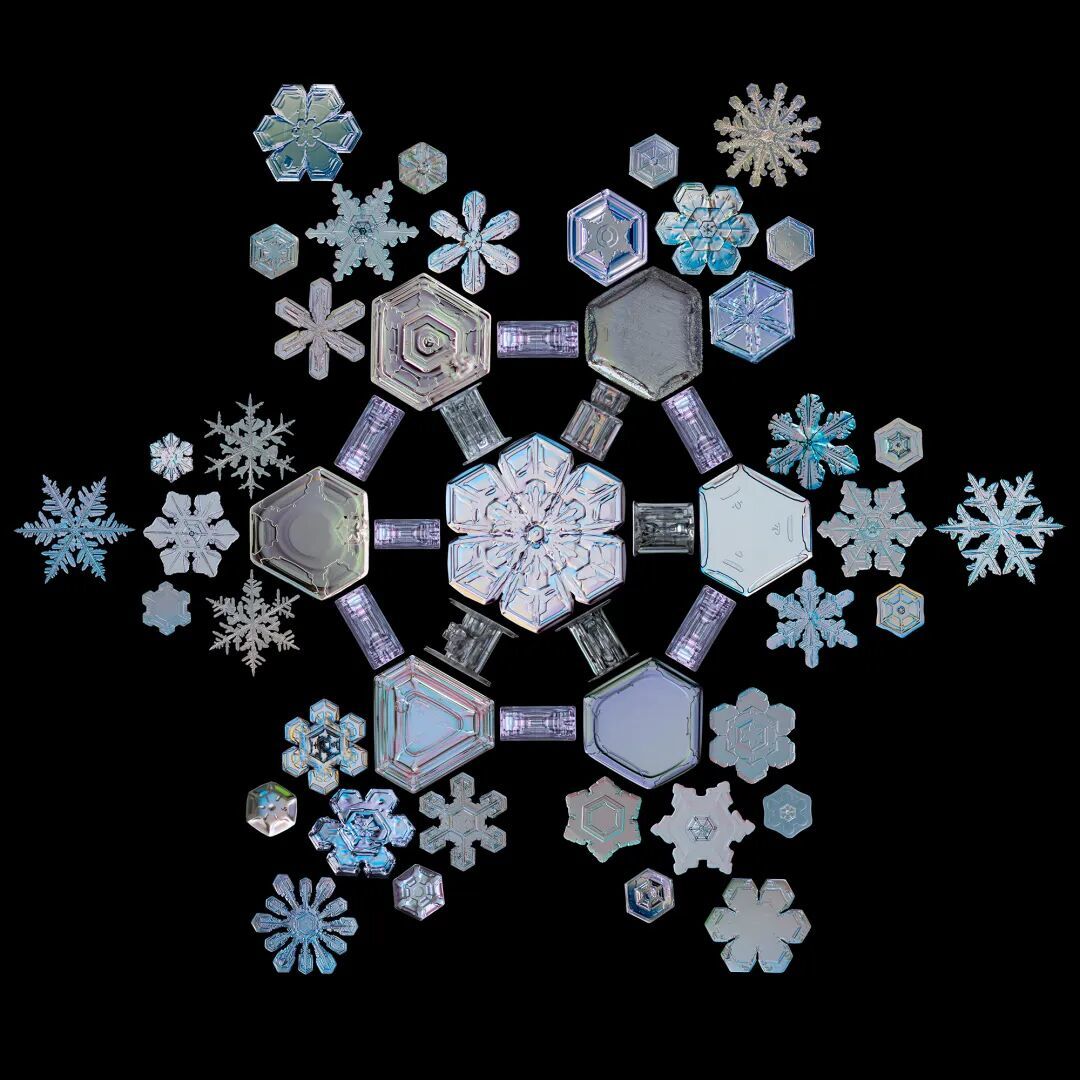 《如何观察一片雪花:探索冬之精灵的隐秘之美》:一位退休工程师,五年寒冬坚守,解锁雪花的隐秘之美