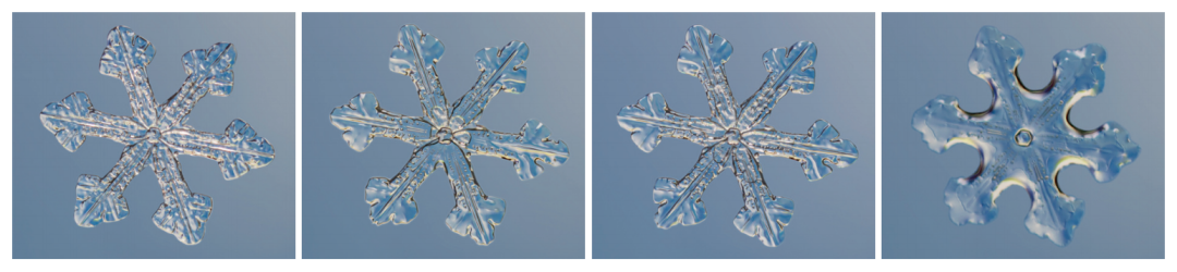 《如何观察一片雪花:探索冬之精灵的隐秘之美》:一位退休工程师,五年寒冬坚守,解锁雪花的隐秘之美