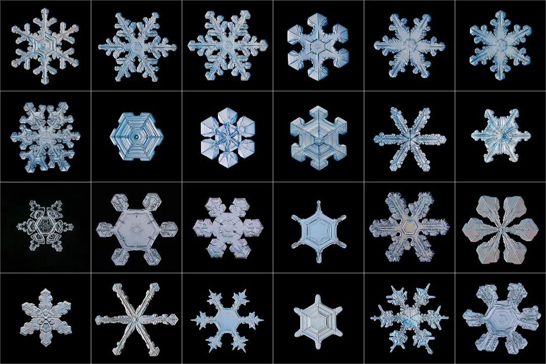《如何观察一片雪花:探索冬之精灵的隐秘之美》:一位退休工程师,五年寒冬坚守,解锁雪花的隐秘之美
