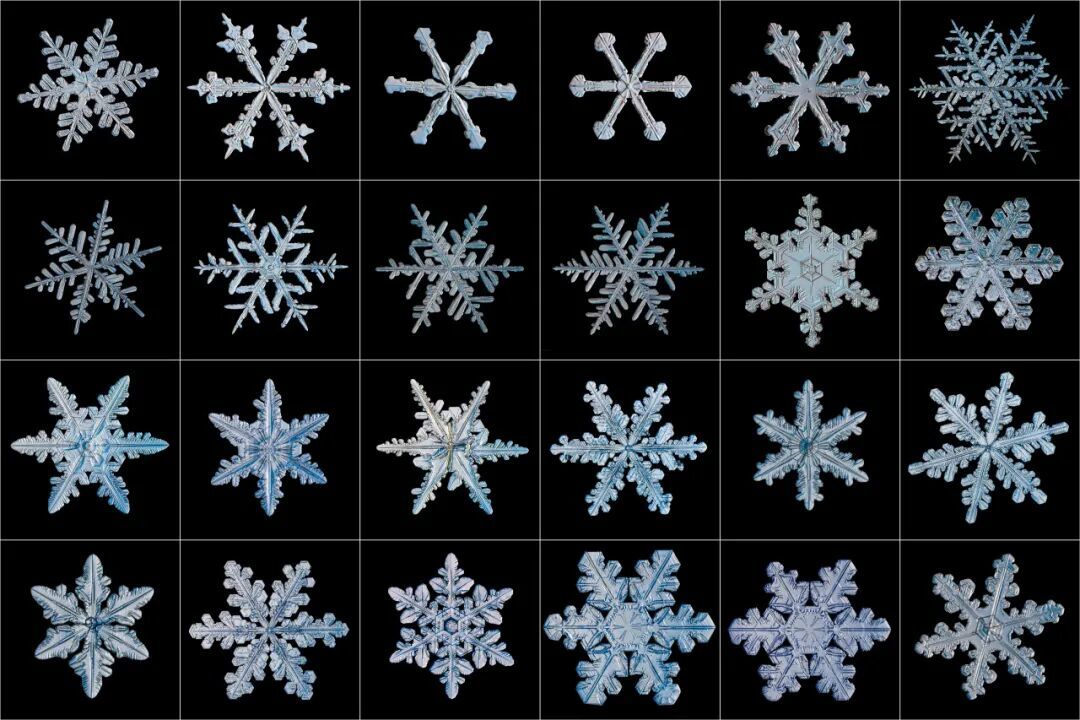 《如何观察一片雪花:探索冬之精灵的隐秘之美》:一位退休工程师,五年寒冬坚守,解锁雪花的隐秘之美