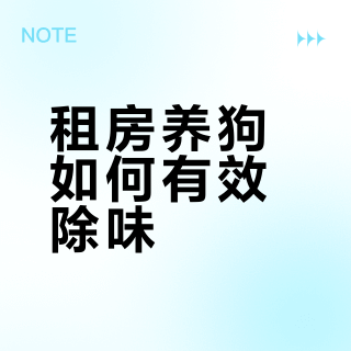 租房用的狗狗沐浴露，一款空瓶，一款退