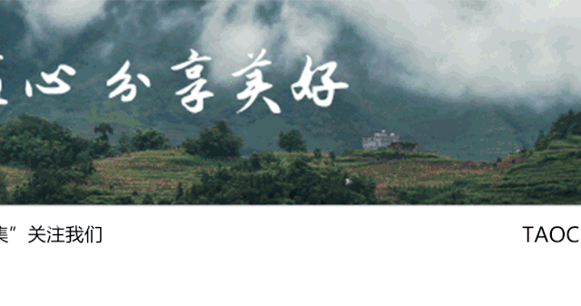 三鹤六堡茶0307 | 梧州茶厂2013年出品，选用原生桂青种，香高持久，滋味鲜醇