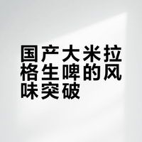 在家也能喝上新鲜的生啤 惊喜的大米拉格