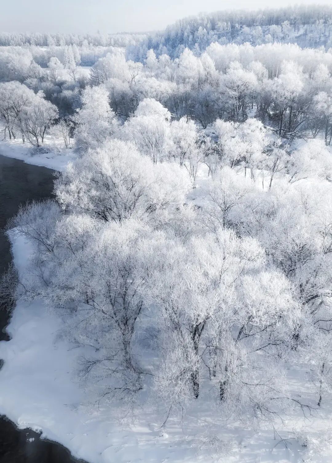 【亲子】寒假-林都伊春【小众深入】|鄂伦春民俗体验+穿越林海雪原+邂逅库尔滨十里雾凇+投喂驯鹿+冰雪秘境漂流+冬捕体验...