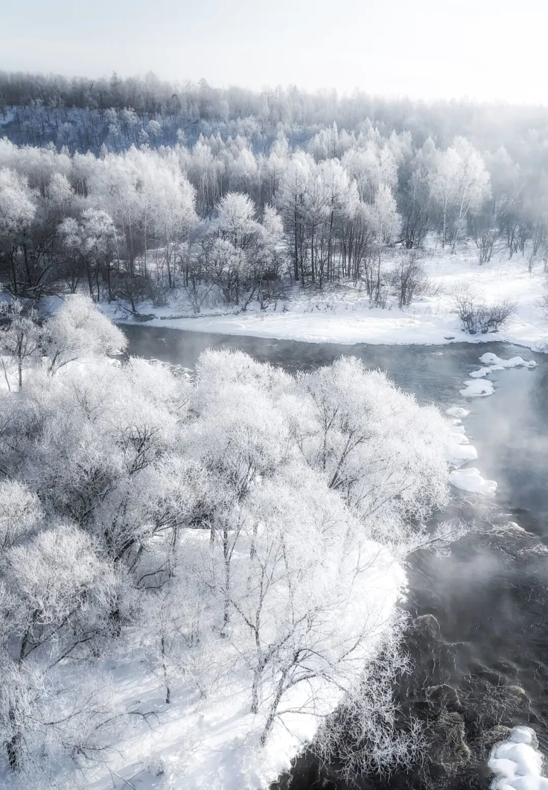 【亲子】寒假-林都伊春【小众深入】|鄂伦春民俗体验+穿越林海雪原+邂逅库尔滨十里雾凇+投喂驯鹿+冰雪秘境漂流+冬捕体验...