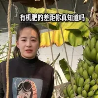 1000元的有机肥和4000元有机肥有什么差别？#有机肥 #农资肥料 #生物有机肥 #化肥农资 #农业种植