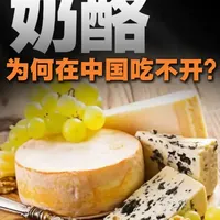 在欧美视作珍宝的“奶酪”，为什么到了中国就无人问津了？ #美食#科普#科普一下#知识分享#涨知识