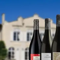 为什么有的拉菲卖 10 万，有的只卖几百？ #拉菲 #红酒 #葡萄酒