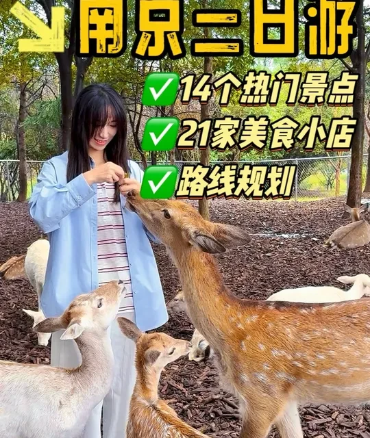 南京三日游超详细逛吃打卡攻略！ 玩遍14个热门景点，顺路打卡景点附近共21家宝藏美食小店，看看边玩边吃总共需要多少钱！#南京 #南京美食 #南京旅游攻略 #江浙沪周边游 #旅行推荐官