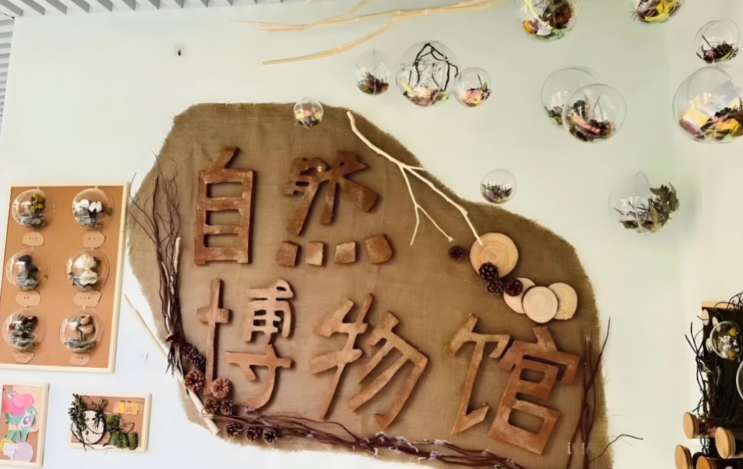 虞永平:儿童博物馆与幼儿园课程