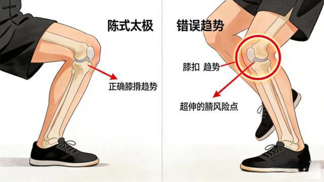 练太极别瞎选!3 大主流流派差别大,选错白练还伤身