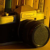 胶卷相机里的旧时光