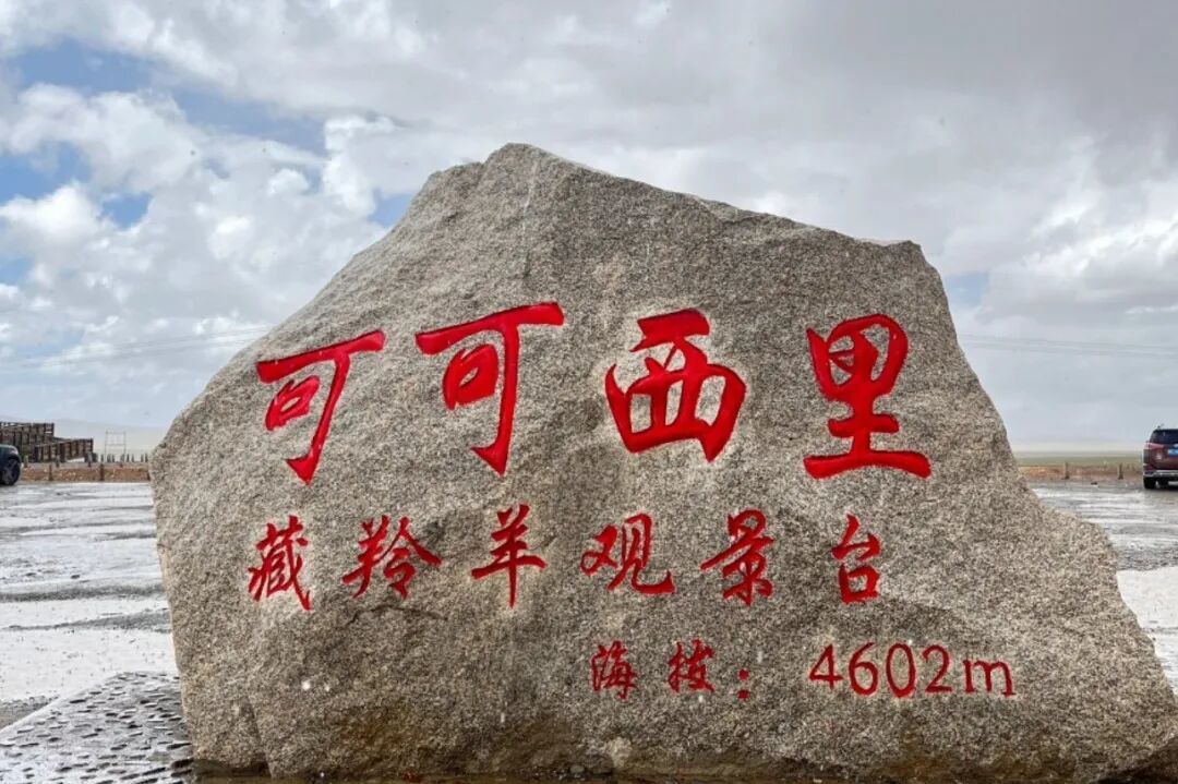 可可西里保护区—生命树拍摄地
