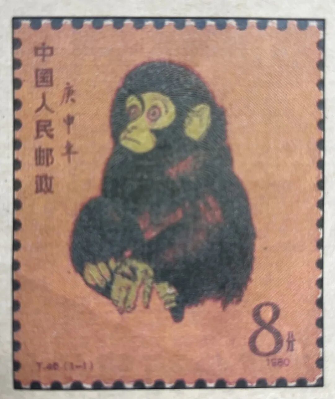 琳琅满目!枚枚精致!四十多年来,这位磐安人痴迷干这事