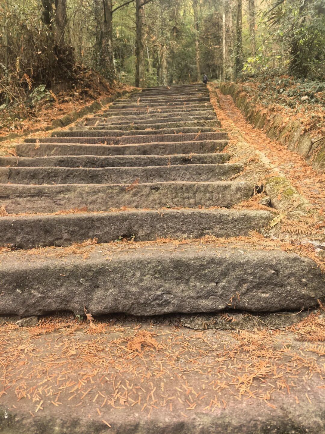 百山计划第一山-齐云山