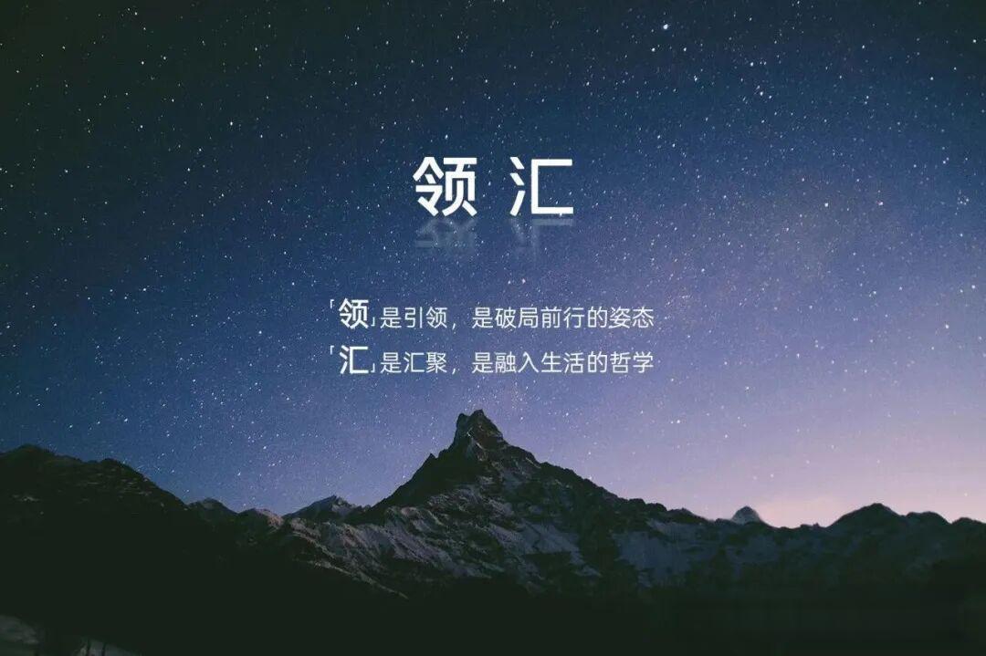 比亚迪第四大子品牌:“领汇”官宣!