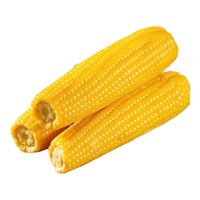 玉米也能影响料肉比，教你怎样买到营养价值高的好玉米