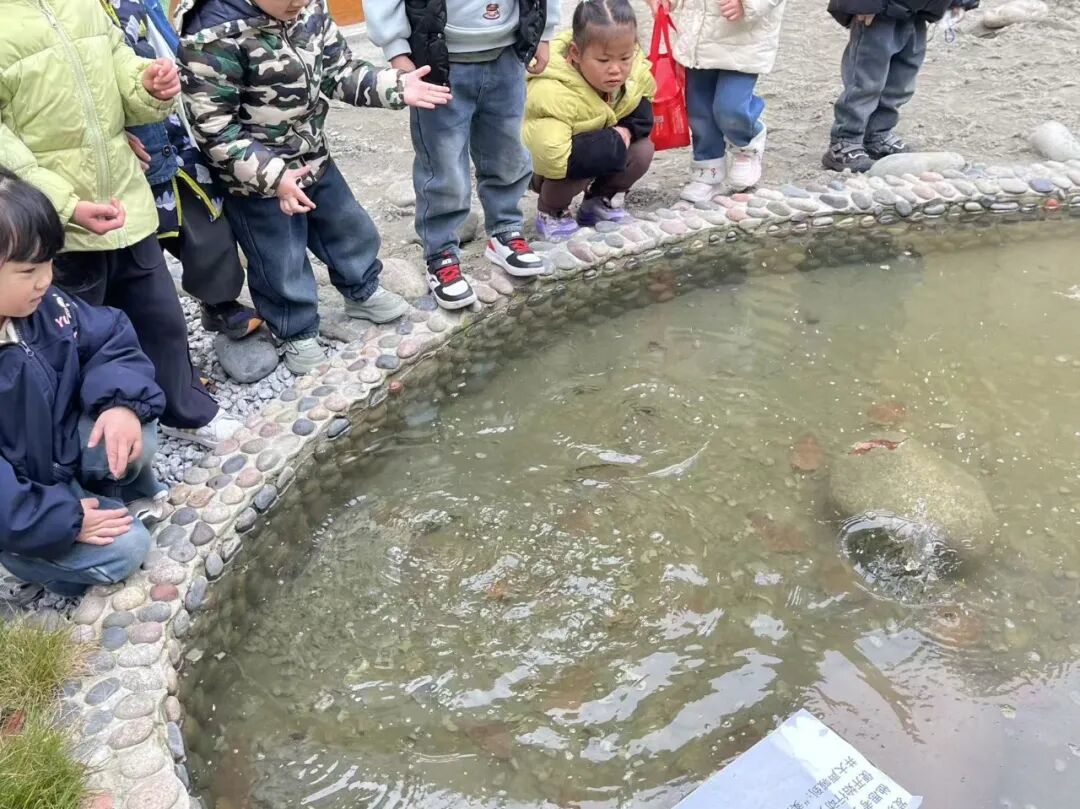 【课程故事】“纸”想和你玩