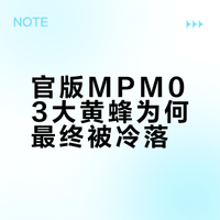 MPM03大黄蜂，有点讨厌，有点想念