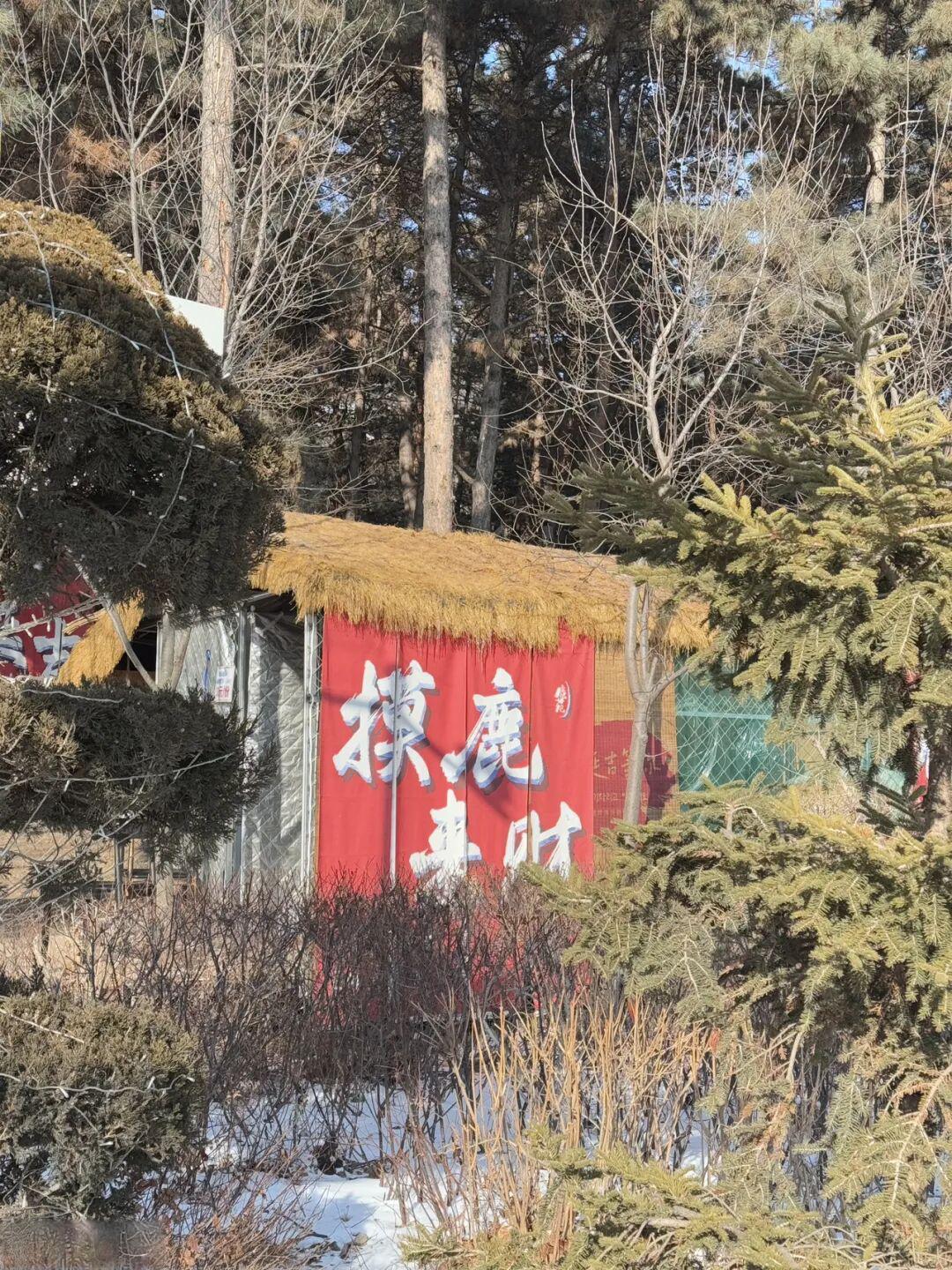 圣诞东北行-Part 3
