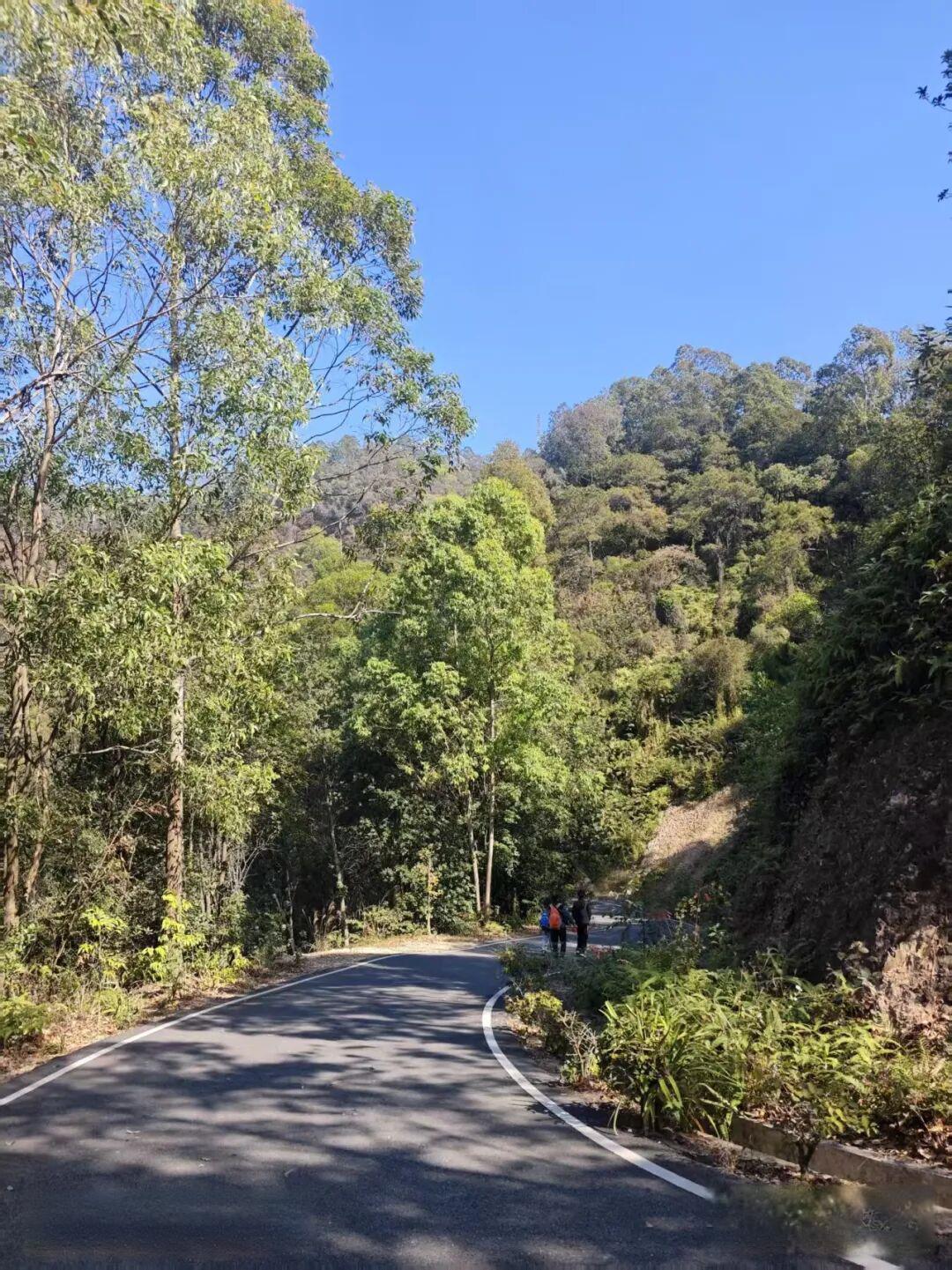 每周一山#2026年第3山——广州沙湾滴水岩公园青萝峰