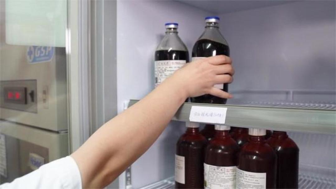 秋风起,“老病友”都来这里配蛇药酒?记者实探上海三甲医院里的非遗绝活