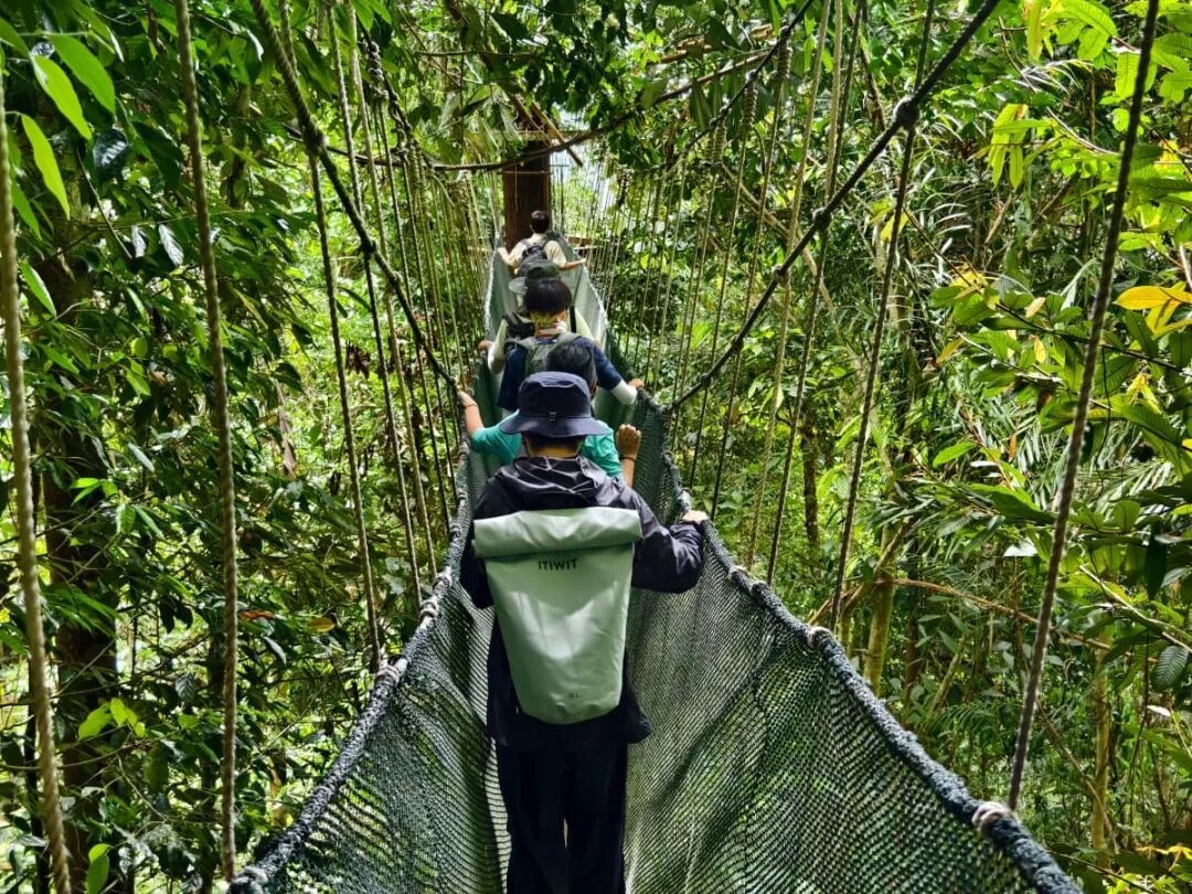 2026寒假（1）：西双版纳热带植物园 | 深度自然探索 植物 鸟类 昆虫 雨林徒步 科学考察 5天4晚