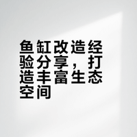 鱼缸大改造之——超大面躲避墙，欢迎推荐鱼