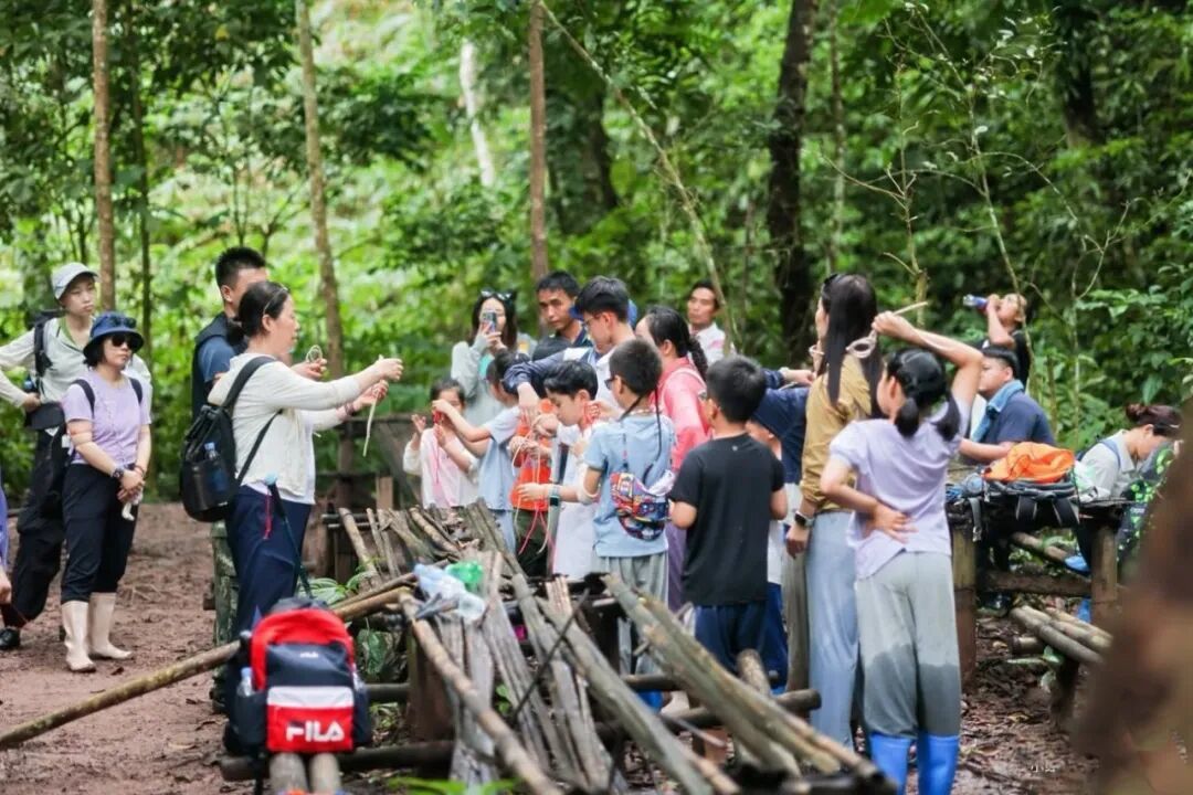春节带全家玩转版纳,这份完美攻略已备好