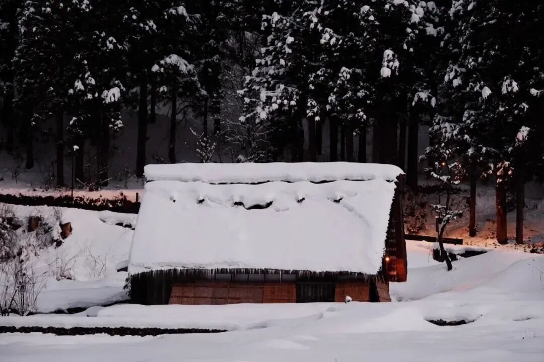 冬游日本中部|在雪乡与温泉里遇见最治愈的时光