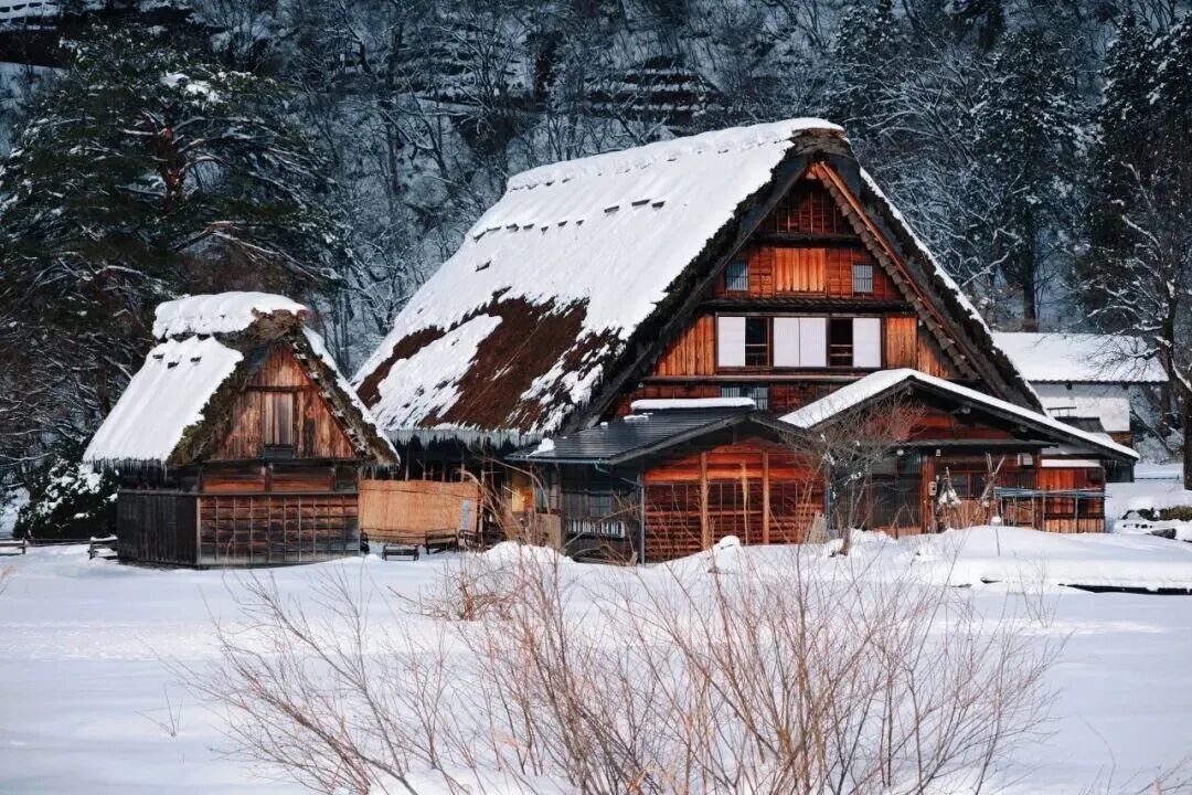 冬游日本中部|在雪乡与温泉里遇见最治愈的时光