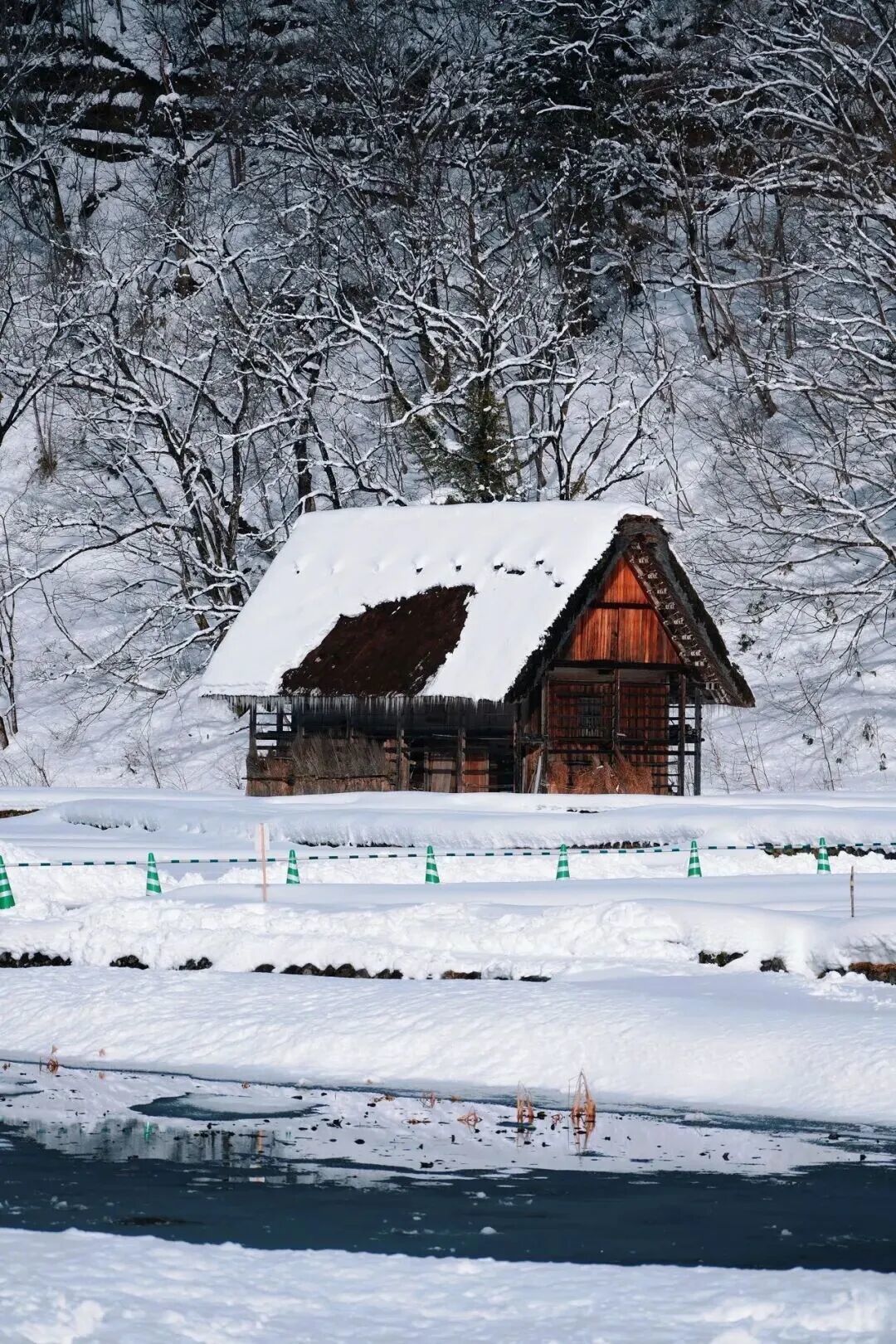 冬游日本中部|在雪乡与温泉里遇见最治愈的时光