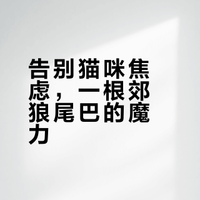 关于猫咪的郊狼尾巴丰容初体验！