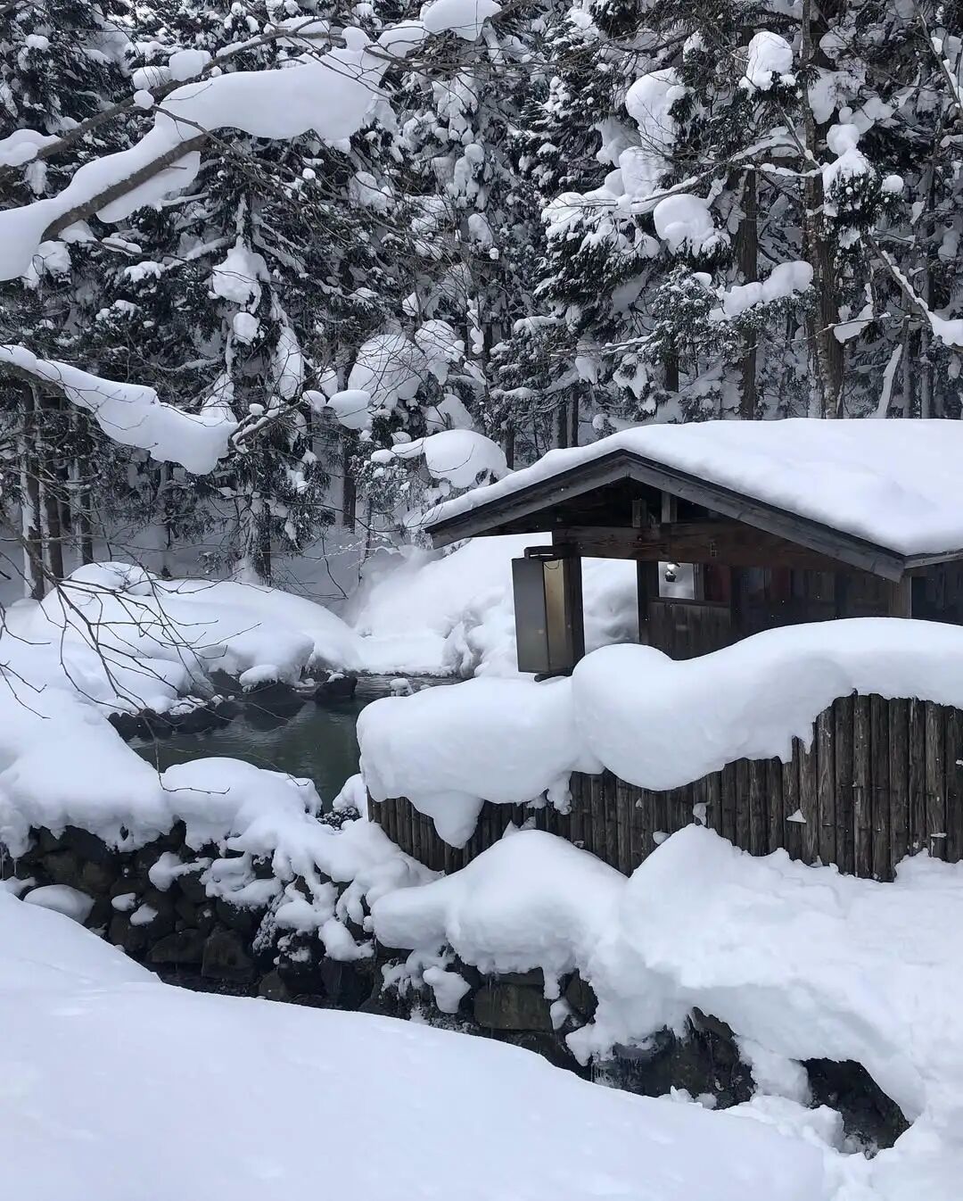 别再跟风挤热门温泉了!冬天来日本,这8处温泉雪乡才真的人少景美!