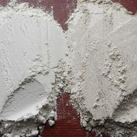 小麦育种人说面粉（一）： 为什么同样是面粉，做出来的东西差别那么大？