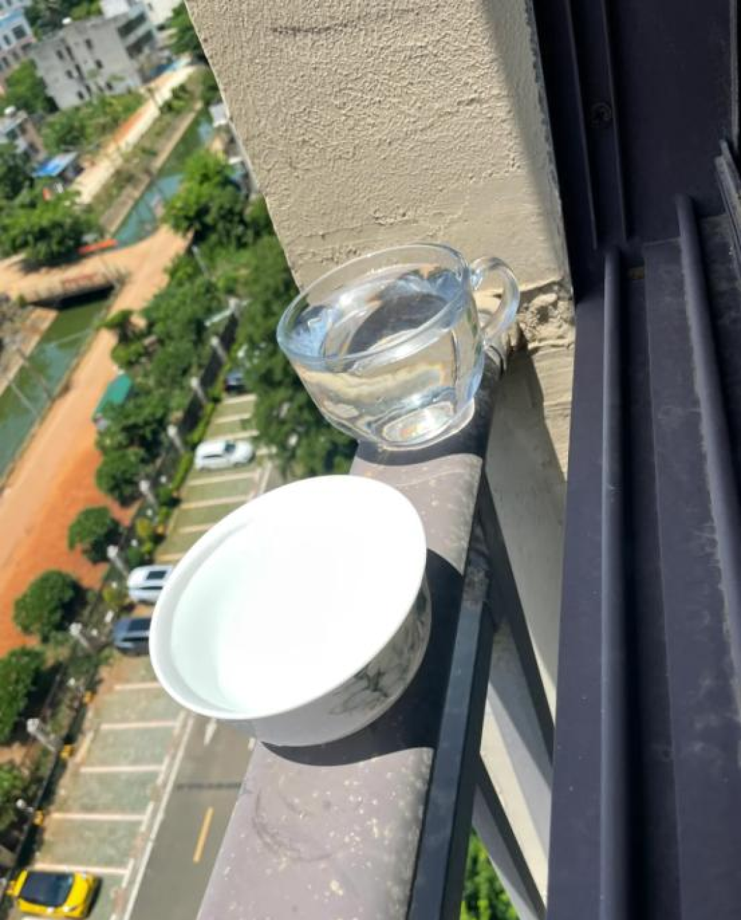 河南一小伙子,自制生态小鱼缸,摆在办公桌上,引来无数同事跟风