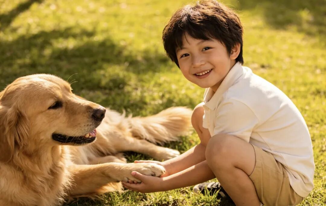 选对犬种,是十年陪伴的第一步