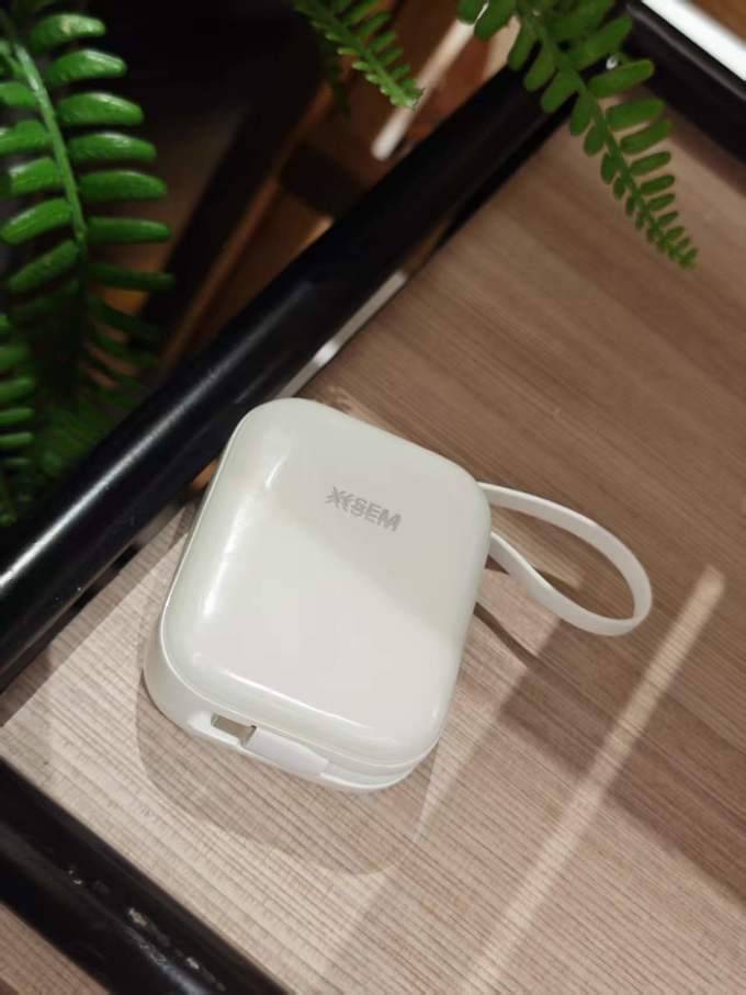 西圣移动电源