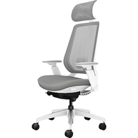 冈村abilis和sylphy light人体工学椅对比评测 #达宝利 #冈村 #okamura #sylphy #abilis