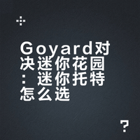 goyard🆚mini花园｜各个角度的对比