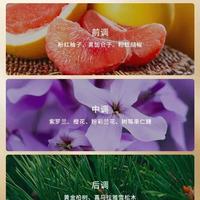 马年限定✨安娜苏筑梦天马礼盒｜把童话与好运戴在身上