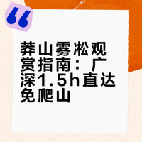 不是长白山‼️广深1.5h直达!郴州莽山看雾凇