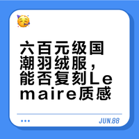 在国潮寻找Lemaire羽绒服代餐