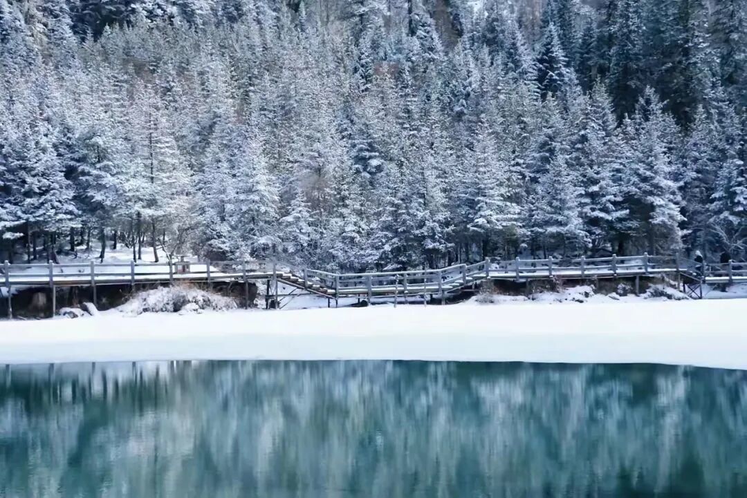 谁说冬天不能去川西?四姑娘山冰雪仙境,中老年轻松游全攻略!