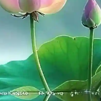 2026实测封神！油头头屑救星推荐！无广实测10款好用到复购