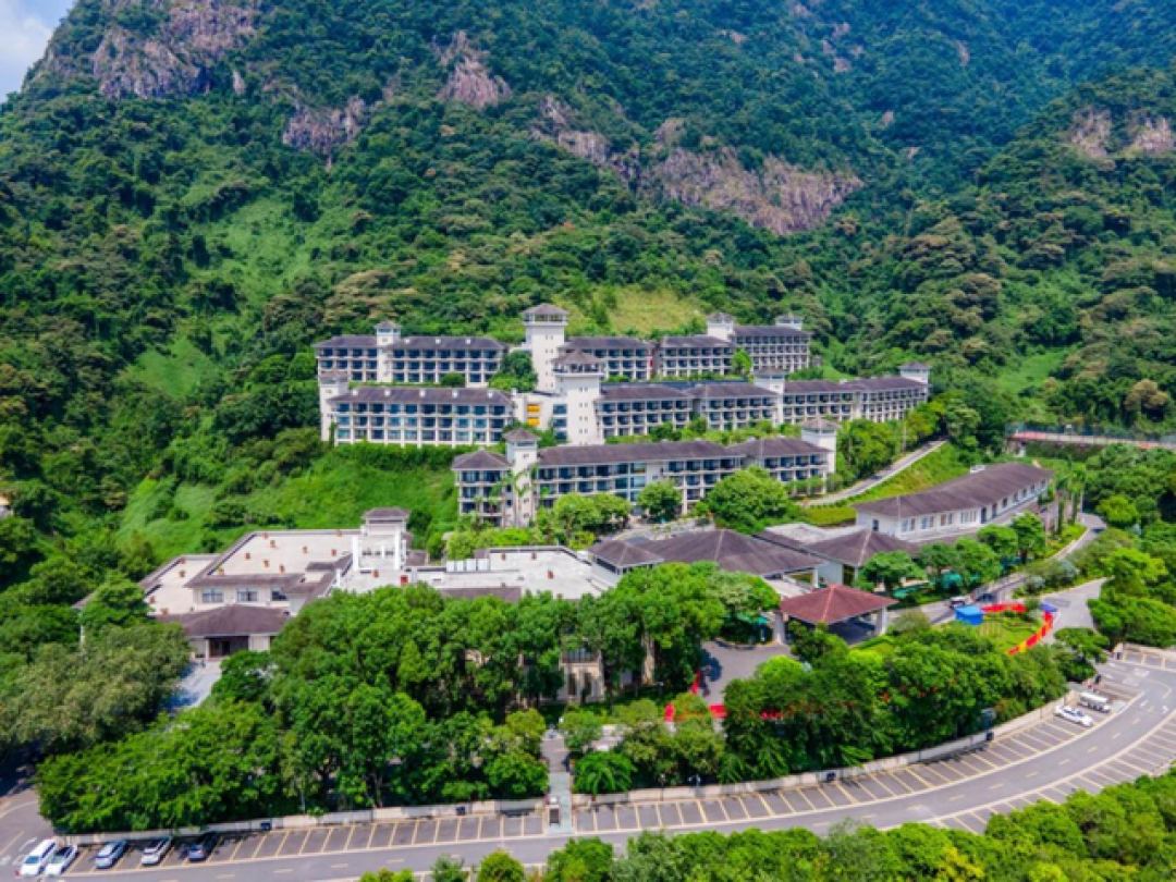 增城“最美旅游公路”成元旦热门打卡点!解锁“快进慢游”新体验