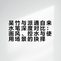 吴竹VS派通 自来水笔 你选哪一个？