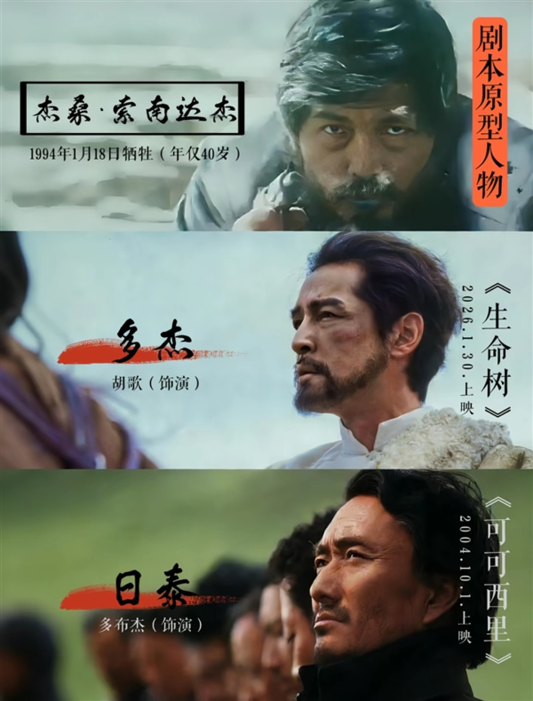 改编自可可西里巡山队!央视向《生命树》原型故事致敬