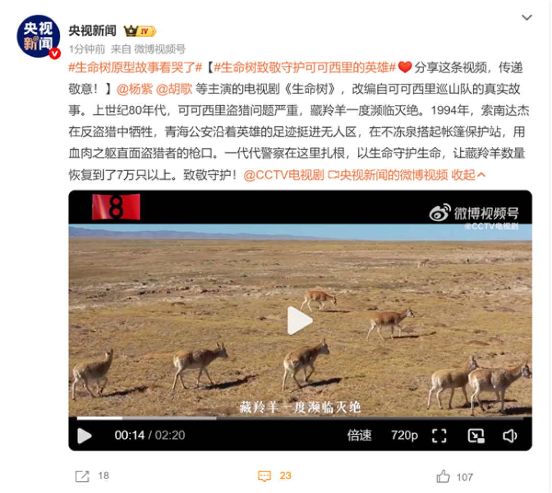 改编自可可西里巡山队!央视向《生命树》原型故事致敬